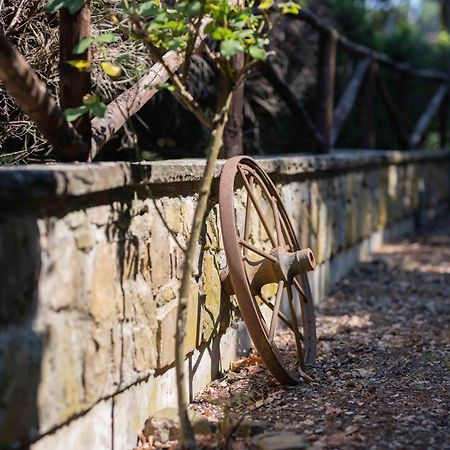 Terre Di Melazzano - Le Case Di Patrizia Greve in Chianti Eksteriør billede