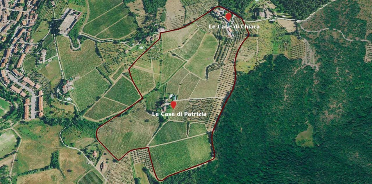 Terre Di Melazzano - Le Case Di Patrizia Greve in Chianti Eksteriør billede