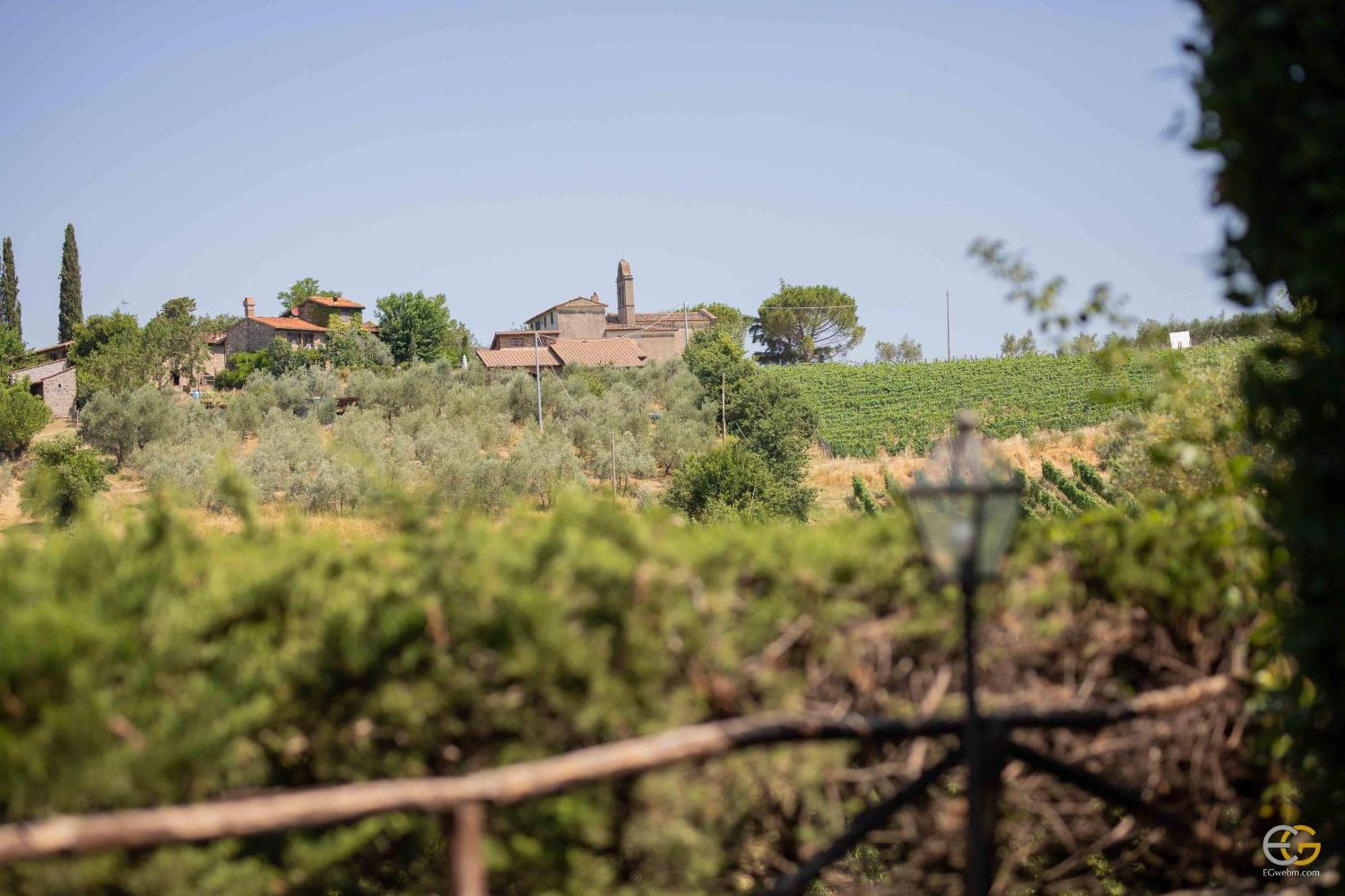 Terre Di Melazzano - Le Case Di Patrizia Greve in Chianti Eksteriør billede
