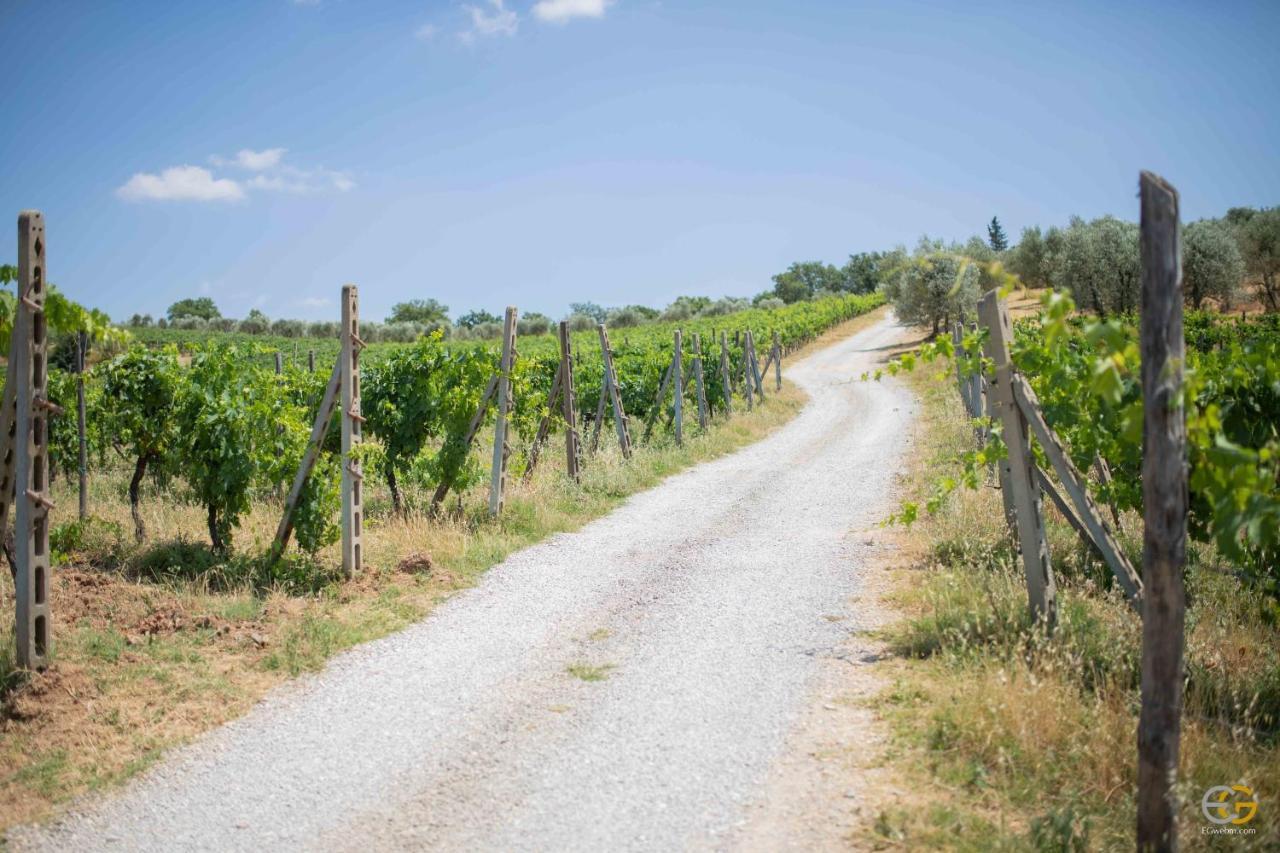 Terre Di Melazzano - Le Case Di Patrizia Greve in Chianti Eksteriør billede