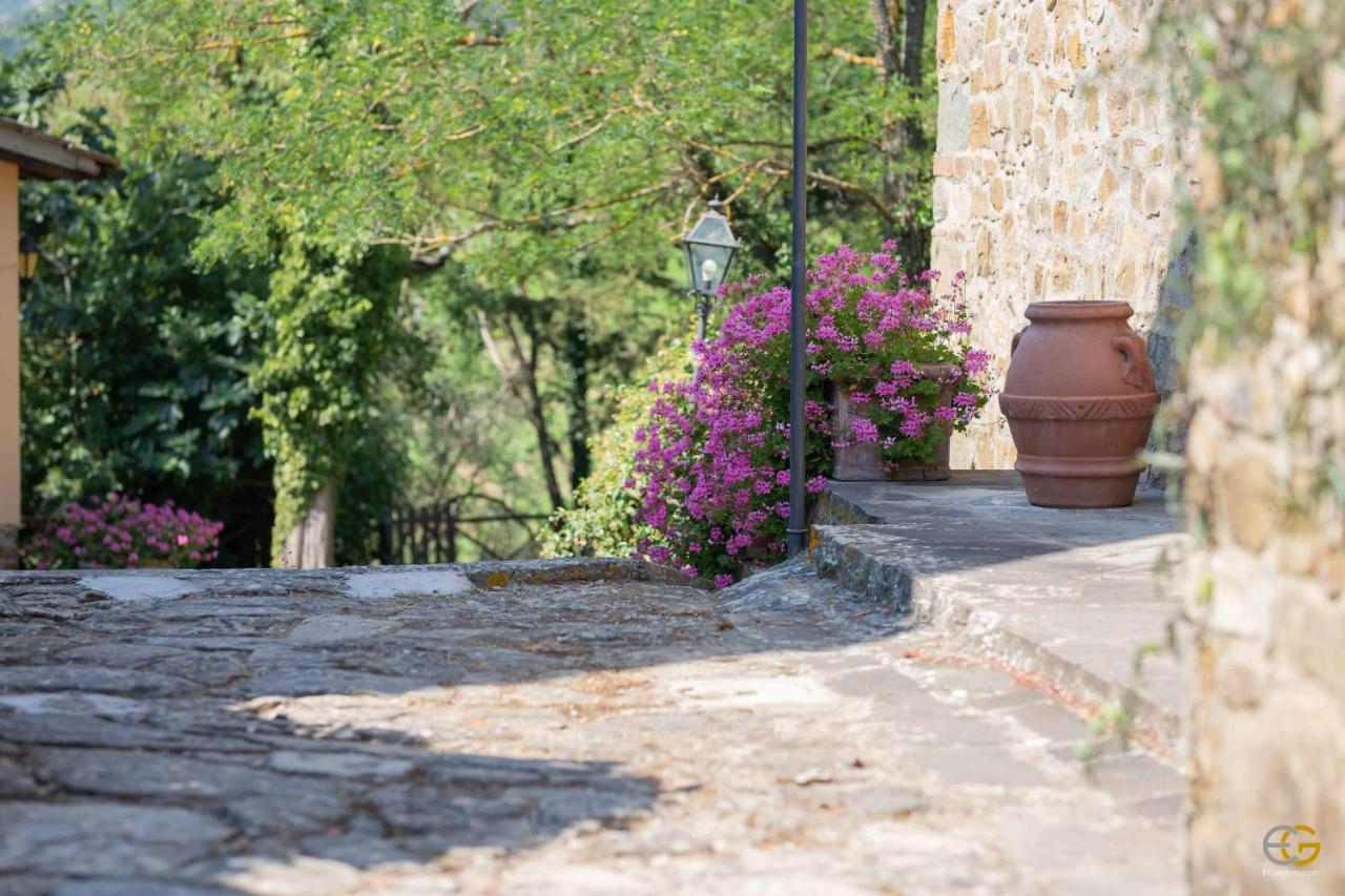Terre Di Melazzano - Le Case Di Patrizia Greve in Chianti Eksteriør billede