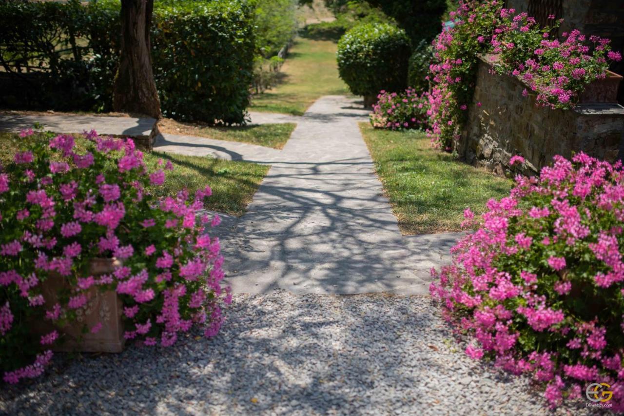 Terre Di Melazzano - Le Case Di Patrizia Greve in Chianti Eksteriør billede