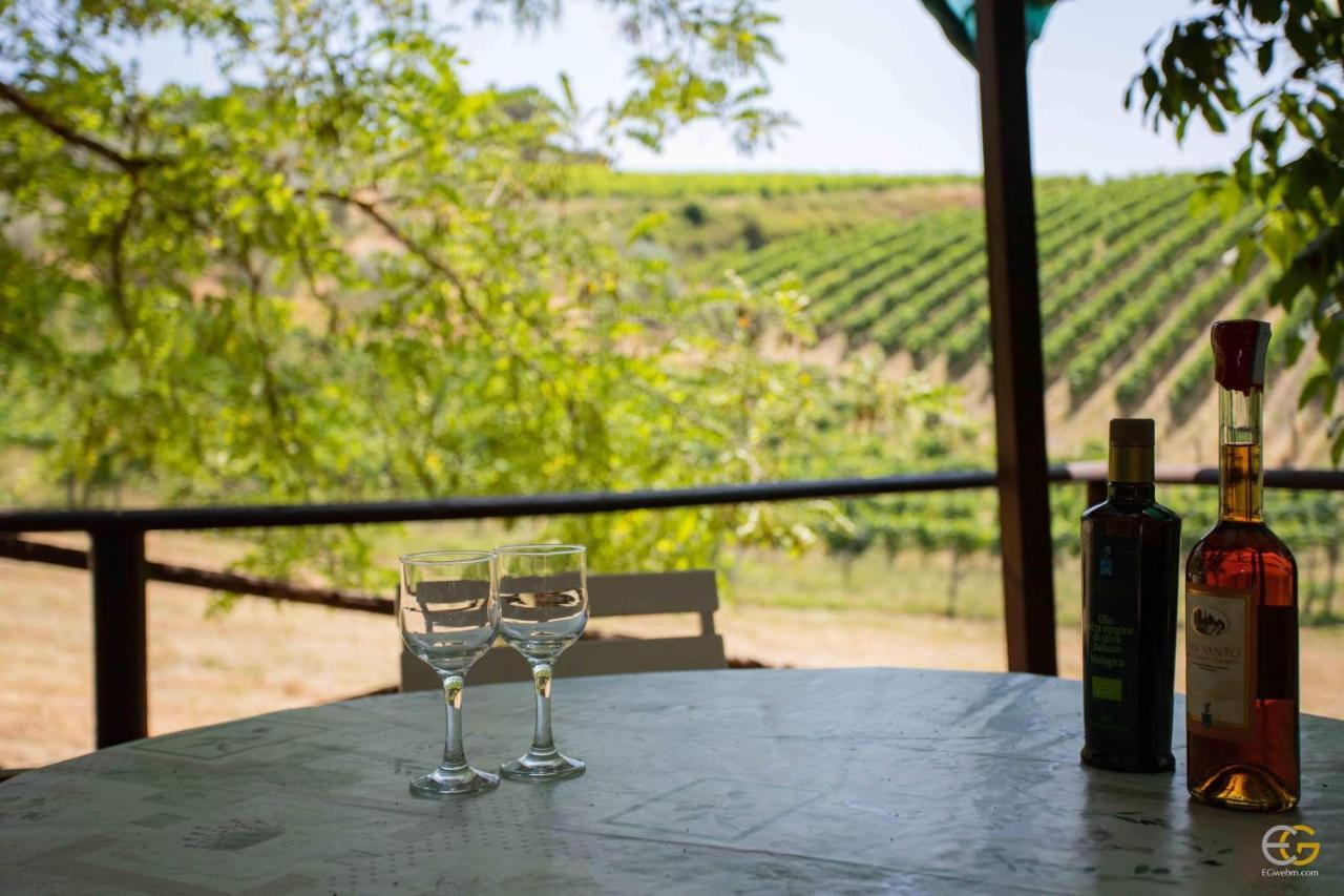 Terre Di Melazzano - Le Case Di Patrizia Greve in Chianti Eksteriør billede